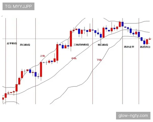 莱奥战术角色与比赛稳定性分析：状态起伏大的根源解析